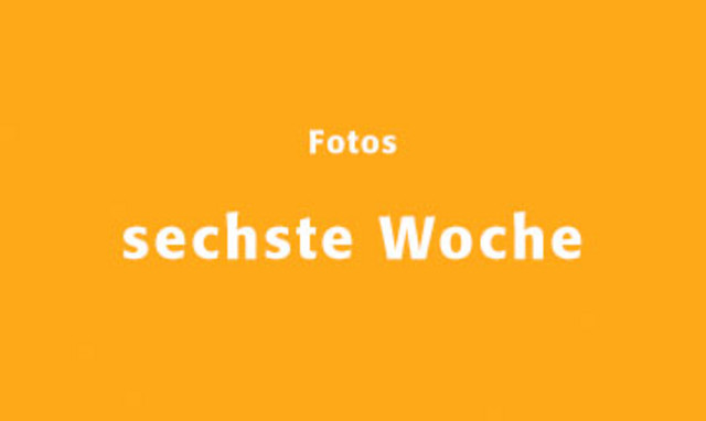 zur fotogalerie ferienpass